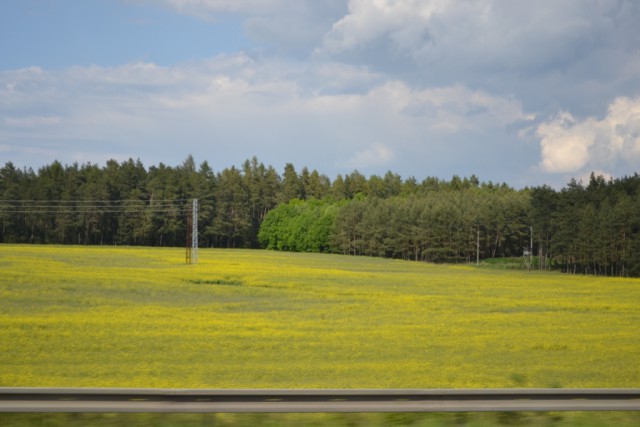 Кулинарная общалка