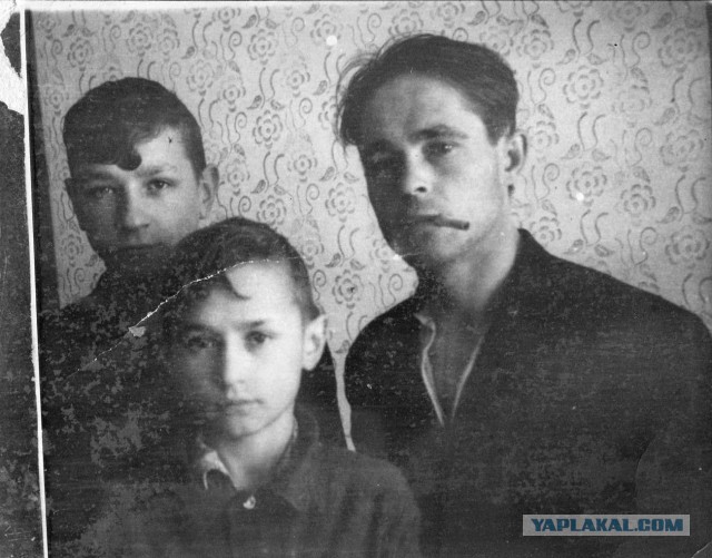 Двойники знаменитостей