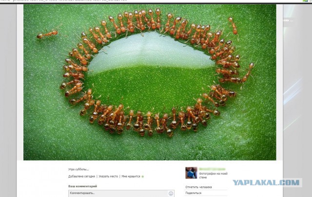 20 самых удачных кадров октября. Без фотошопа.