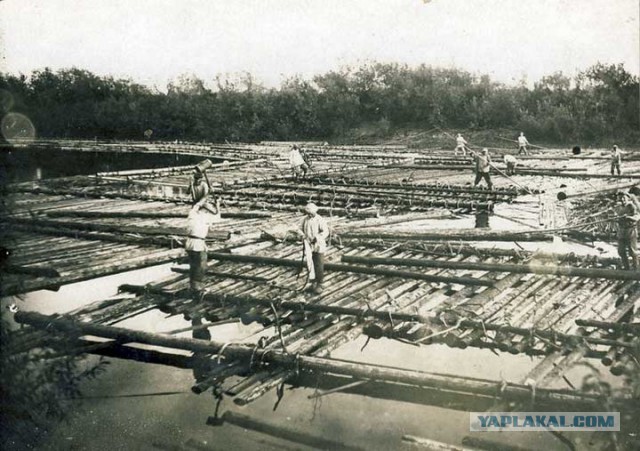 Беляны, уникальные волжские гиганты