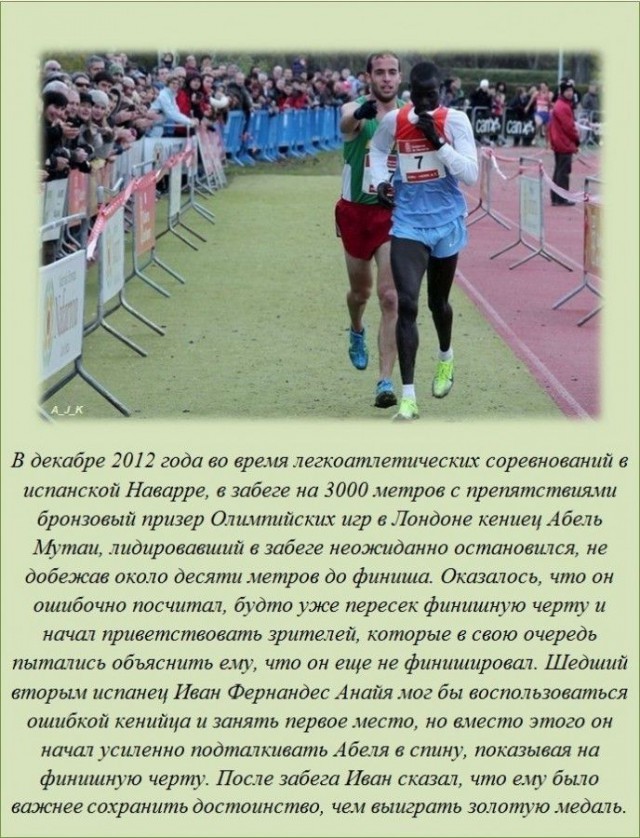 20 фактов обо всем