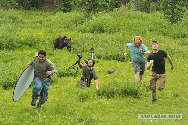 На что идут фотографы в погоне за снимком