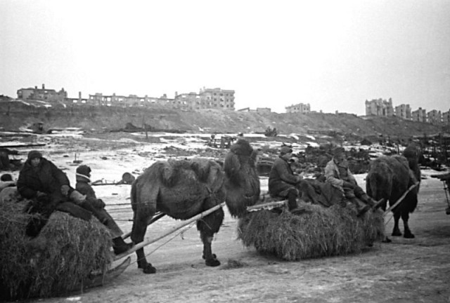 Фотографии второй мировой, многие цветные (фото)