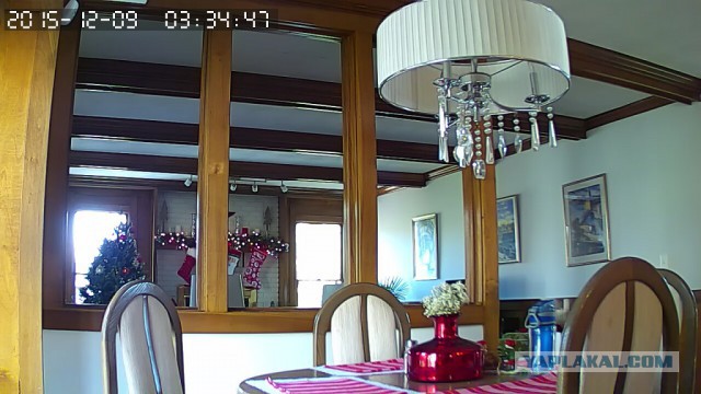 За что я люблю китайцев