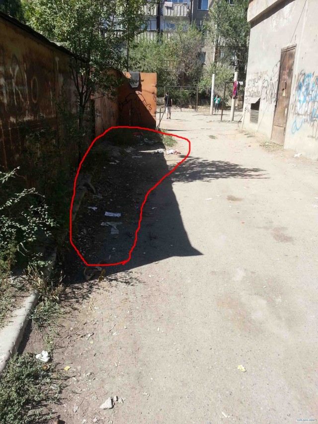 - Я хозяин, ЧЁ хАчу то и делаю.