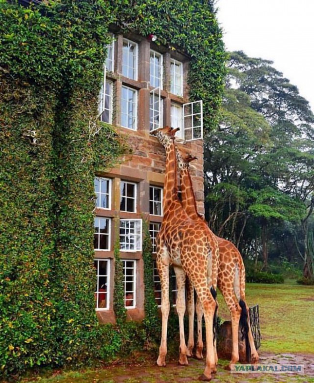 Подборка интересных и веселых картинок