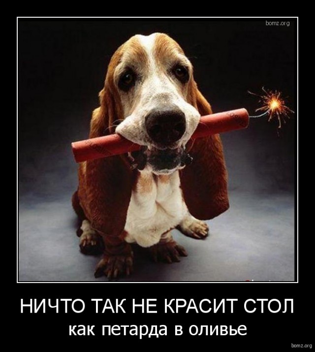 Картинки для поднятия настроения - 4