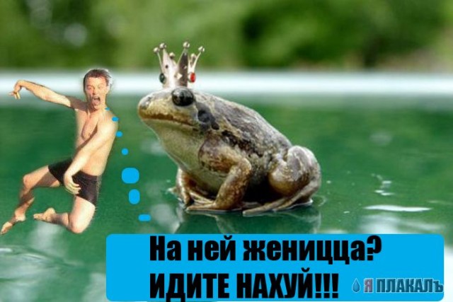 Фотожаба: Перед купанием