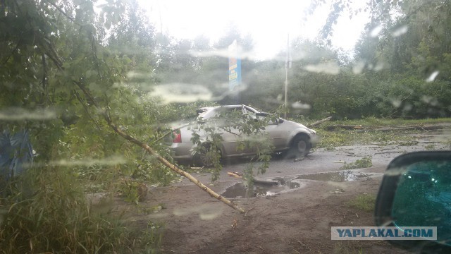 Ураган в Омске