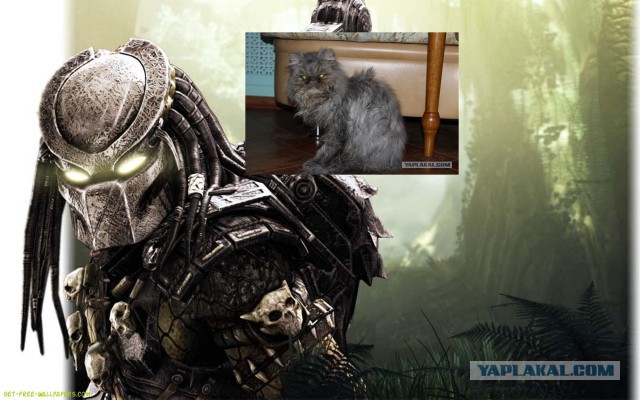 Wargaming 39