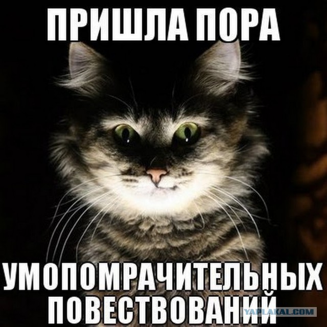 Как посадить соседа