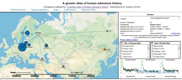 Доказано, что русские не были "смешаны" с татарами