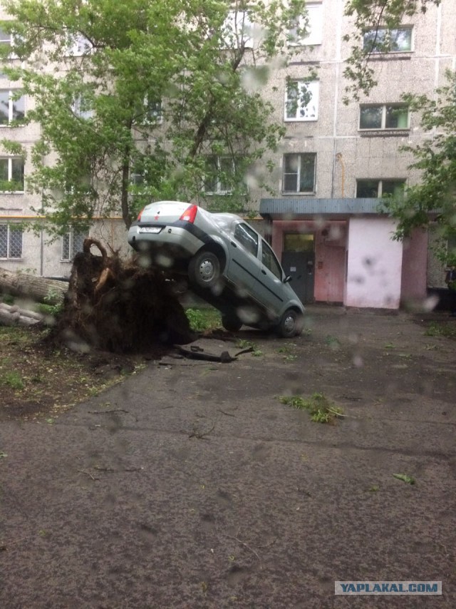 В Москве ураган!