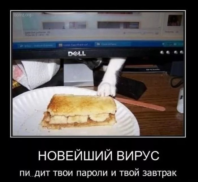 Подборка картинок чисто на поржать 18+