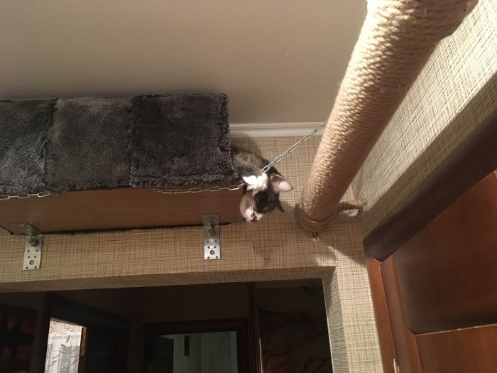 Кошкин дом
