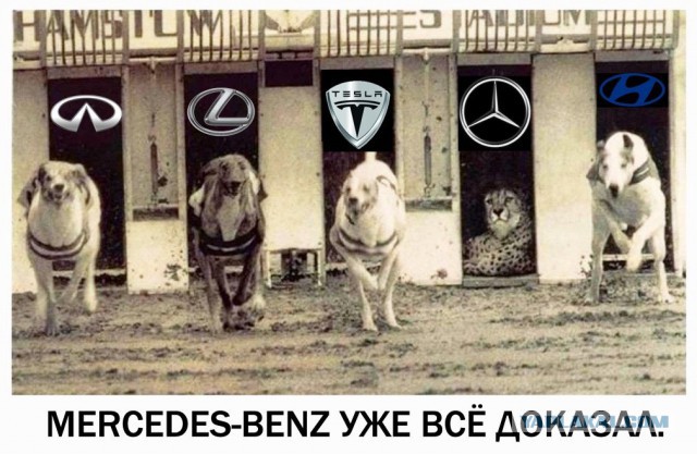 BMW подшутила над Volkswagen и получила ответ