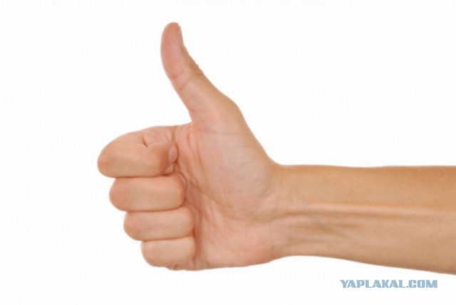 «Маленький член — это приговор»