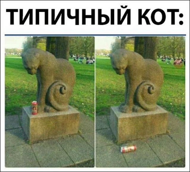 Немного картинок в эту пятницу