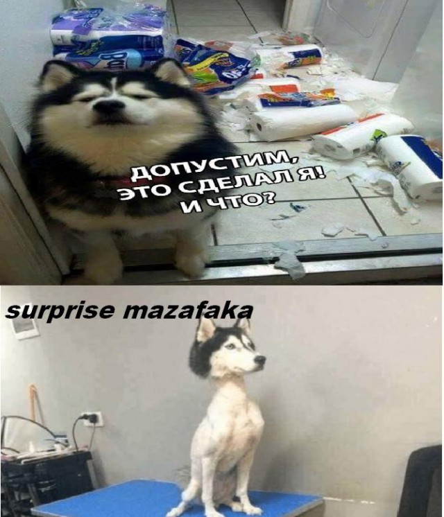 Нестандартный юмор