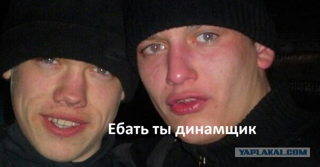 Динамщицы