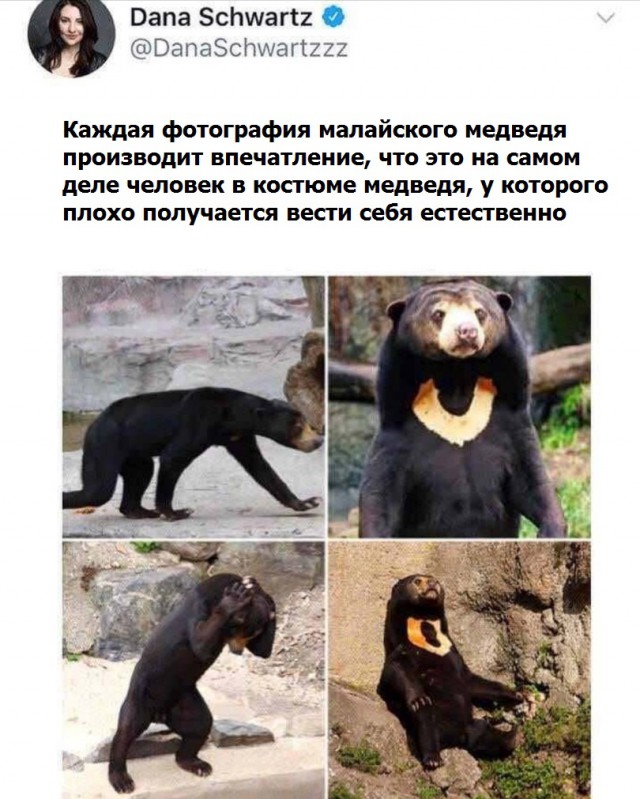 Не очень адекватный юмор
