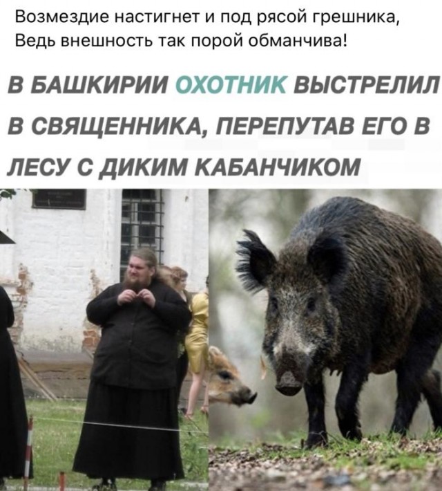 Вижу Рифмы IV