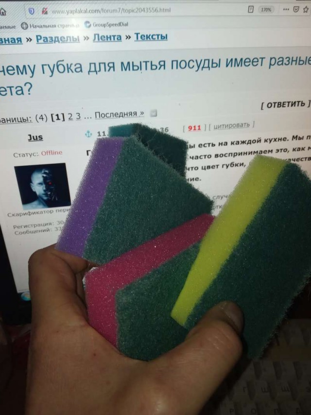 Почему губка для мытья посуды имеет разные цвета?