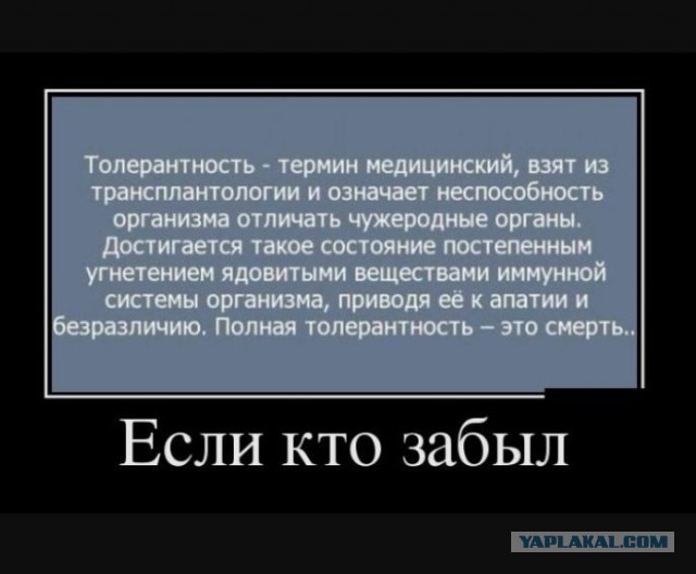 Немного картинок для настроения 20.01.20