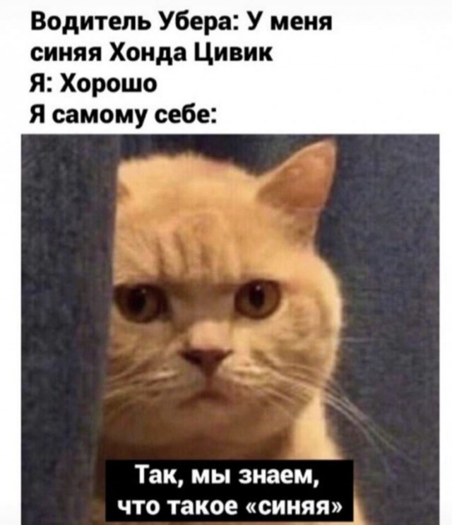 Немного картинок для настроения 20.02.20