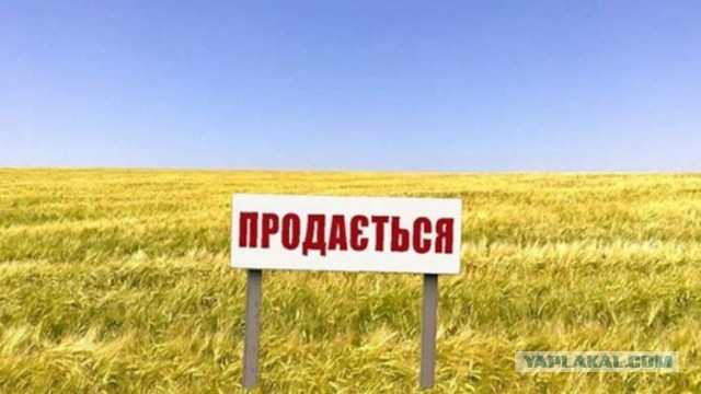 Верховная Рада Украины проголосовала за введение в Украине свободного рынка земли