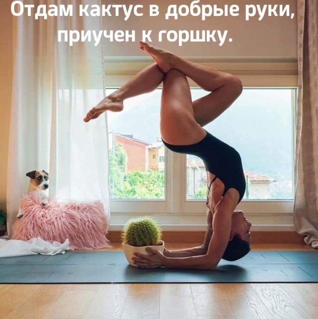 Немного картинок для настроения 04.04.20
