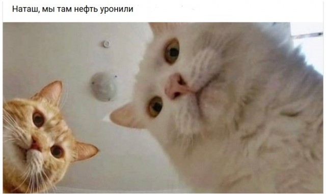 Цена нефти WTI опустилась до $1