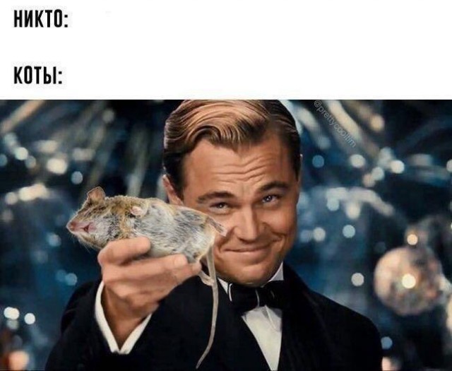 Картинки разные нужны, картинки всякие важны