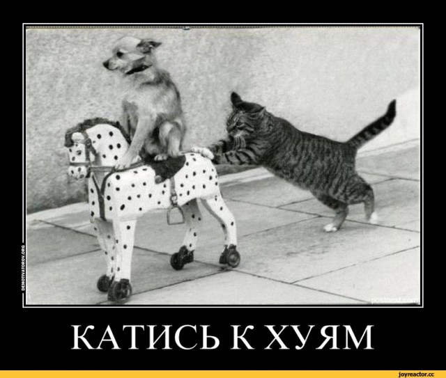 Почему так рано умирают мужчины? (Алкоголь ни при чем)