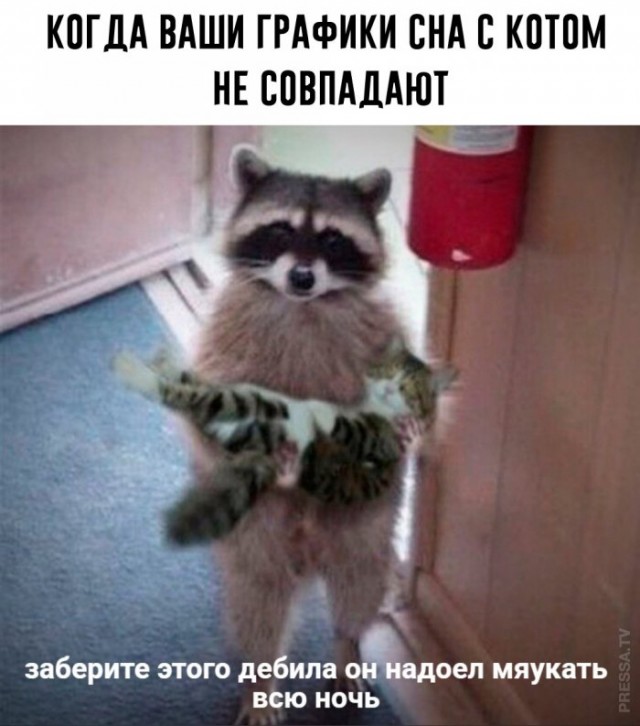 Картинки и мемы для настроения 007