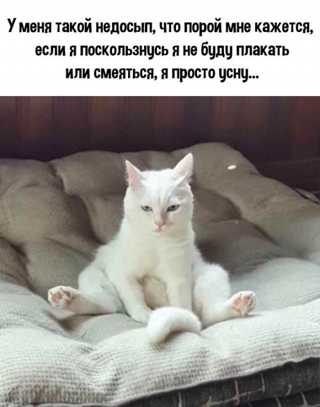 Картинки и мемы для настроения 025