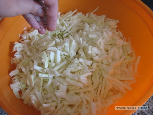 Капуста International, Наступила осень, отцвела капуста...