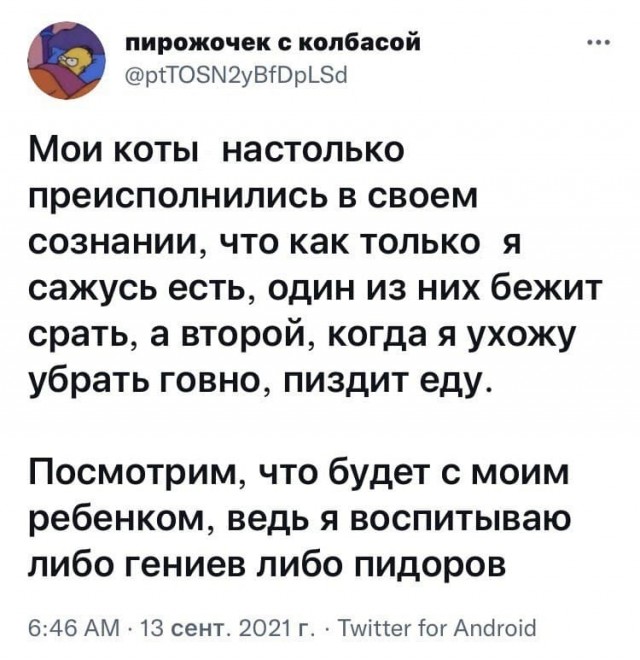 Весёлый полтишок 20.09.