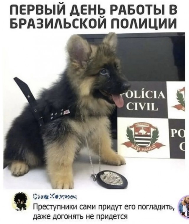 Весёлый полтишок 02.10