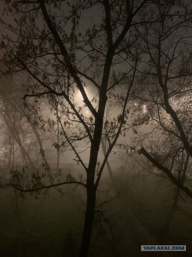 Помощник дежурного в ФСБ по Новосибирской области принимает жалобу на полосы от самолетов в небе