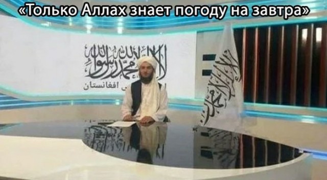 Очарование ведущих прогноза погоды