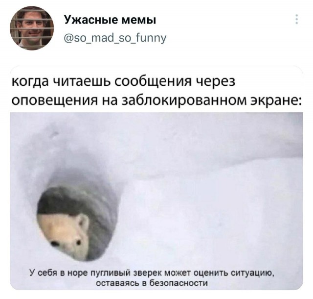 Подборка забавных твитов обо всем