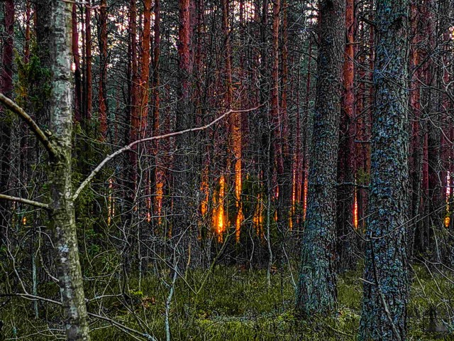 Рассветы. Закаты. Фото