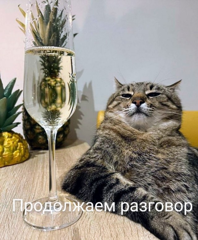 Картинки и мемы для настроения - 19