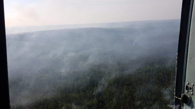 Пандемия съехавших крыш - разновидности болезни. Россия и мир. Часть 41.