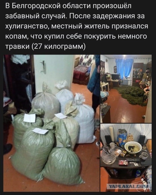 Забавный случай в Белгородской области