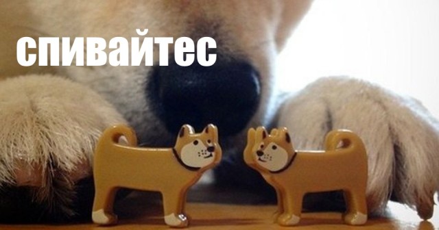 Муж начал пить - одна из причин