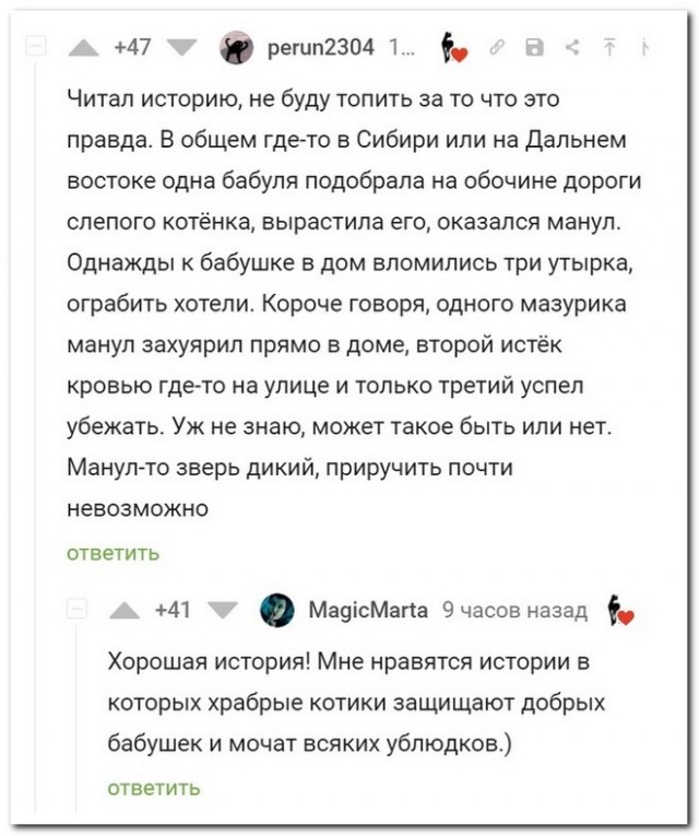 Забавные комментарии из социальных сетей (28.11.22)