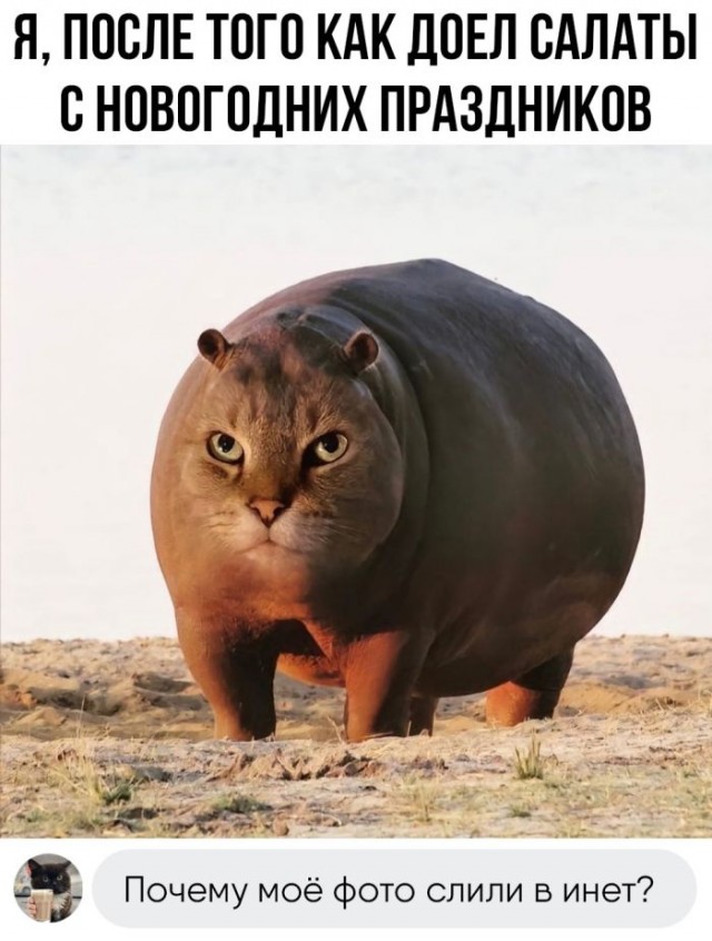Картинки и мемы, выходные продолжаются