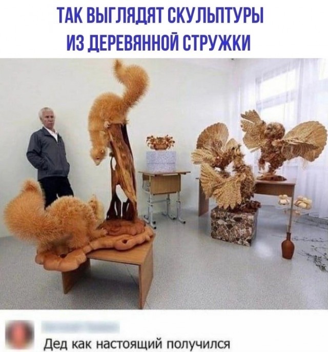 Так себе картинки 22.02.23